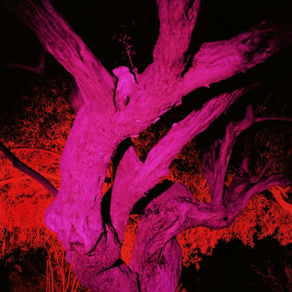 Come closer and see 2009 lambda print under plexiglas 100 x 100