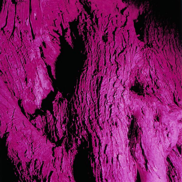 Come closer and see 2009 lambda print under plexiglas 60 x 60