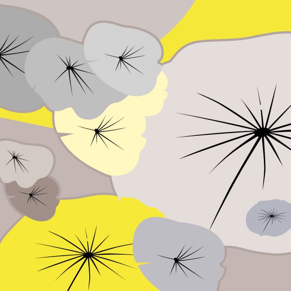 Utopia n. 10 2003 lambda print